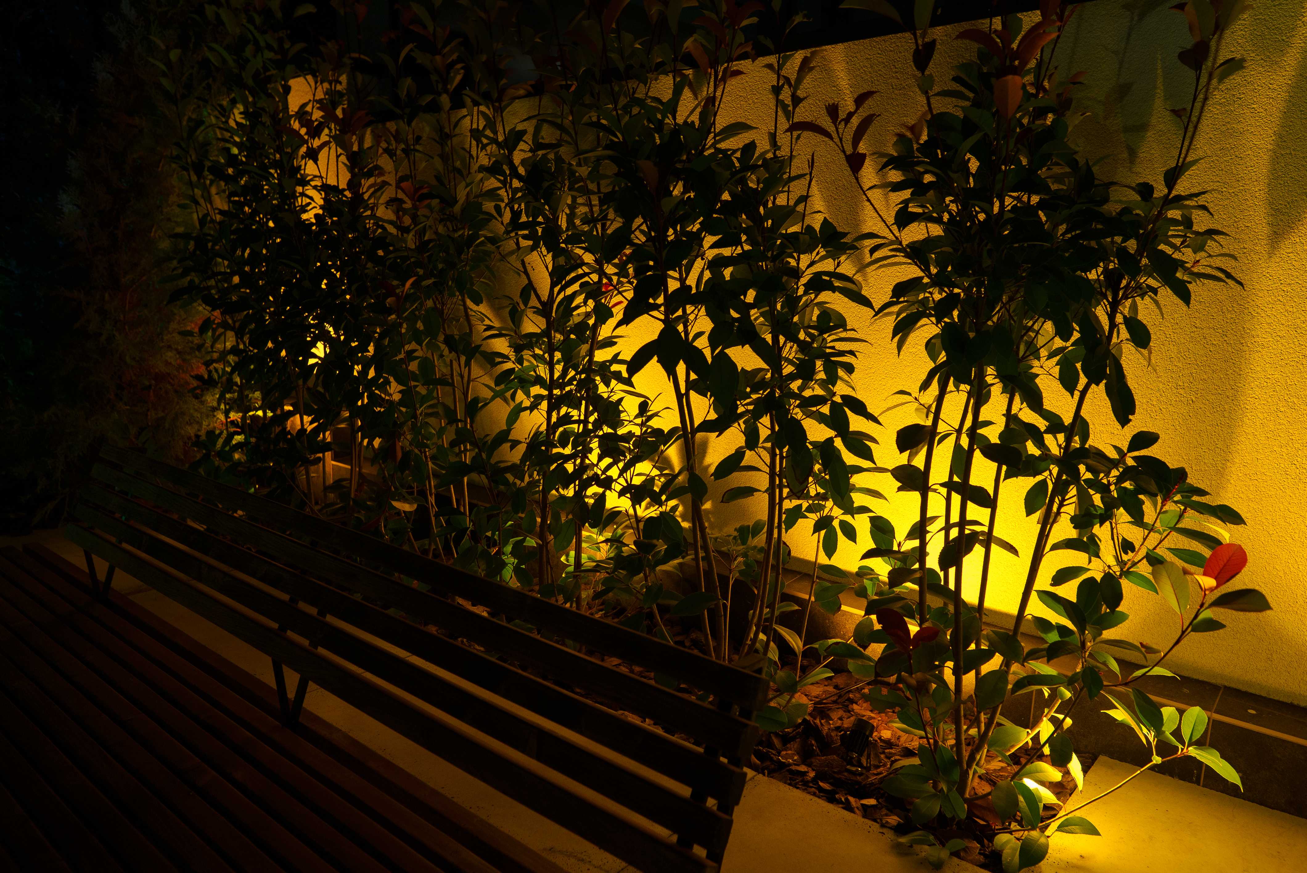 Wall garden lighting